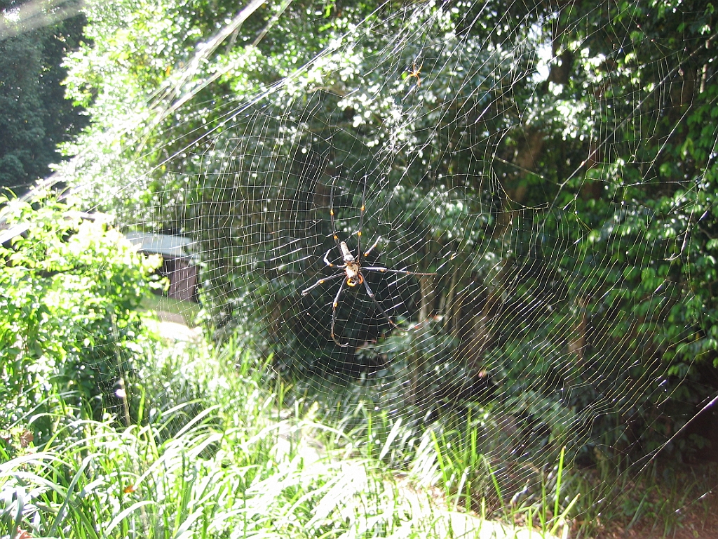 251 Josephine Falls.jpg